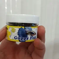 ماهی فایتر نر و ماده|ماهی|تبریز, |دیوار