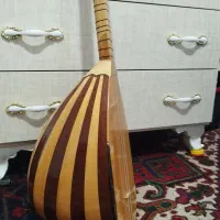 باغلاما دسته بلند الیاسی|سازهای سنتی|شبستر, |دیوار