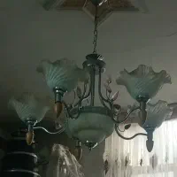 لوستربسیارزیباسالم۵شاخه یکمیلیون