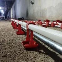 سیستم ابخوری نیپل تولید وفروش تجهیزات مرغداری