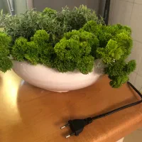 ابنما ی زیبا با صدای زیبا