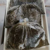 سبزی خورشتی|خوردنی و آشامیدنی|اهواز, ۳۰ متری|دیوار
