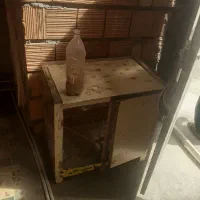 مرغ‌عشق|پرنده|بندر ترکمن, |دیوار
