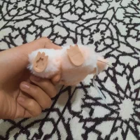 لبوبو|اسباب‌‌بازی|آشخانه, |دیوار