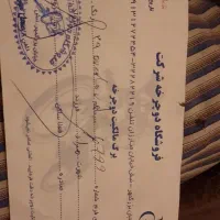 دوچرخه اورلورد overlord 29 ترمزدیسک و 24 دنده فوری|دوچرخه، اسکیت، اسکوتر|اصفهان, باب الدشت|دیوار