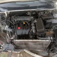 زانتیا تصادفی