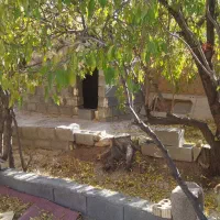 باغ فروشی بهمن|فروش دفتر صنعتی، کشاورزی، تجاری|آباده, |دیوار