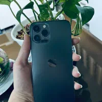 12promMaX|موبایل|مشهد, رضاییه|دیوار