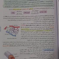 زیست شناسی خیلی سبز دهم|کتاب و مجله آموزشی|بهارستان, |دیوار