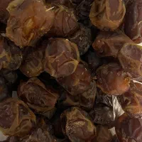 خرمای بوشهر