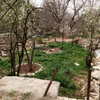 فروش یک قطعه زمین|فروش زمین و ملک کلنگی|پاوه, |دیوار