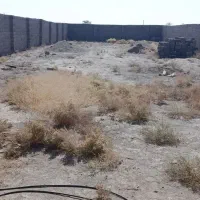 25قصب زمین کشاورزی|فروش زمین و ملک کلنگی|زید آباد, |دیوار