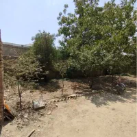 فروش خانه باغ ۶۰۰ متری در ۳۵ کیلومتری قزوین|فروش زمین و ملک کلنگی|کرج, شاهین‌ویلا|دیوار