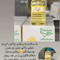 مایع لباس حبیبی|مواد شوینده و دستمال کاغذی|قشم, |دیوار