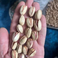 پسته لوکس و درشت دست چین