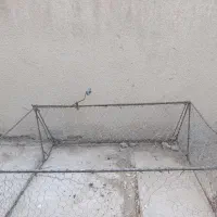 تور کبوتر سعی وسالم است|لوازم جانبی حیوانات|زهک, |دیوار