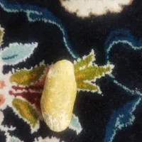 انواع مهره برد