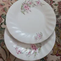 سرویس چینی کامل طرح گل عروس 219 پارچه|ظروف سرو و پذیرایی|اصفهان, پوریای ولی|دیوار