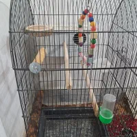 سه عدد قفس با قیمت مناسب|لوازم جانبی حیوانات|سبزوار, پاسداران|دیوار