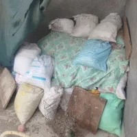 کود کبوتری