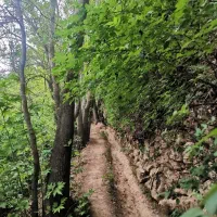 باغشهر با دیوار  کودیان  اقتصادی