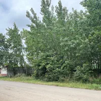 ۷۰۰ متر زمین سیاه اسطلخ برِ جاده|فروش زمین و ملک کلنگی|رشت, سیا اسطلخ|دیوار