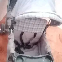 کالسکه دو قلو|کالسکه و لوازم جانبی|تربت‌حیدریه, بالا ولایت|دیوار