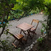 میز و صندلی تاشو چوبی|میز و صندلی غذاخوری|لولمان, |دیوار