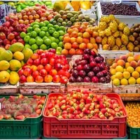 نیاز ب همکار و شریک مالی برای احداث میوه و تره بار