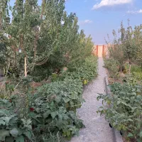 باغ ویلا اجاره ای|اجارهٔ کوتاه‌مدت ویلا و باغ|تایباد, |دیوار