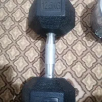 دمبل 12.5 نو|تجهیزات ورزشی|مشهد, بهاران|دیوار