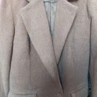 کت زردار نو