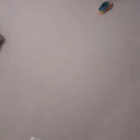 موکت|موکت|رشت, انصاری|دیوار