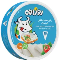ویزیتور حضوری