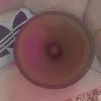 میدرنج ۱۲ اینچ قدرت بالا