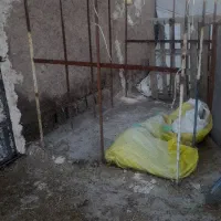 قفس انواع پرنده