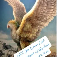 اتوبار فوری وسریع در یوسف آباد ،گاندی ،ونک،جردن|خدمات حمل و نقل|تهران, یوسف‌آباد|دیوار