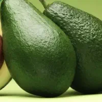 میوه آواکادو عمده