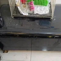 قفس با کل تجهیزات