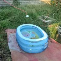 فروش استخر بادی درحد نوع شرکت انتکس.