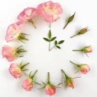 سیم کارت دائمی