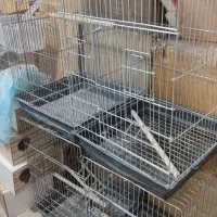 تعدادی قفس ۱۰۳۳