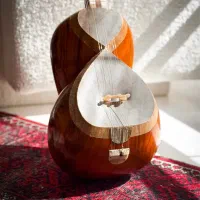 ساز تار حرفه ای هومن