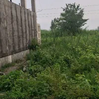 زمین مسکونی علمک دار