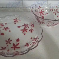 ظروف سوگا ژاپن سینی ،میوه خوری،رولت خوری|ظروف سرو و پذیرایی|هشتگرد, شهرک پامچال|دیوار