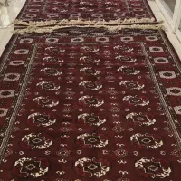فرش ترکمنی|فرش|گنبد کاووس, |دیوار