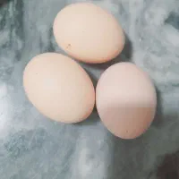 تخم مرغ|خوردنی و آشامیدنی|سنگدوین, |دیوار