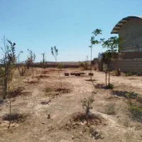 زمین فروشی|فروش زمین و ملک کلنگی|ملکآباد, |دیوار