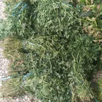 فروش سبزیجات کری و کیلویی به قیمت کف بازار|خوردنی و آشامیدنی|گتاب, |دیوار