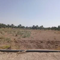 فروش زمین کشاورزی